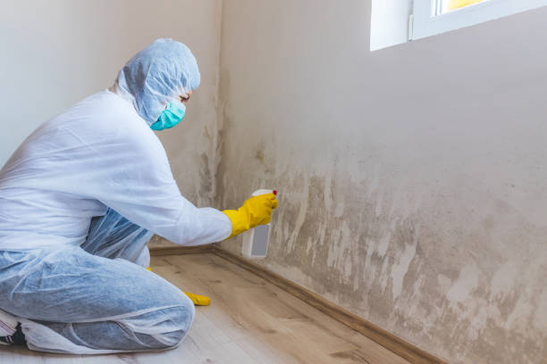 Licensed Mold Remediation service in Fort Meade, MD - 24 Hour Mold Removal