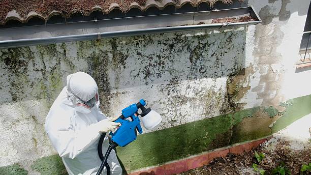Top rated local Mold Remediation specialists in Fort Meade, MD